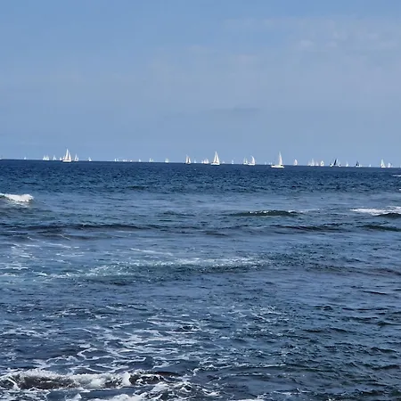 Ocean Surf *